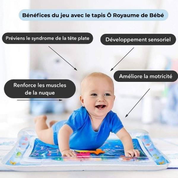 Eacam – Tapis D'arrosage Gonflable Pour Enfants – 170x101x63 Cm, Dauphin, Double Pulvérisation – PVC Sûr, Sans BPA – Pour Jardin, Pelouse, Plage – 3 En 1 Piscine + Arroseur + Bac Eacam – Tapis D'arrosage Gonflable Pour Enfants – 170x101x63 Cm, Dauphin, Double Pulvérisation – PVC Sûr, Sans BPA – Pour Jardin, Pelouse, Plage – 3 En 1 Piscine + Arroseur + Bac